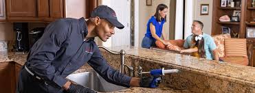 Best Residential Pest Control  in Ely, MN